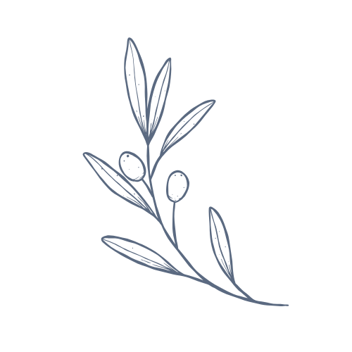 Simple line drawing of an olive branch with leaves and olives.