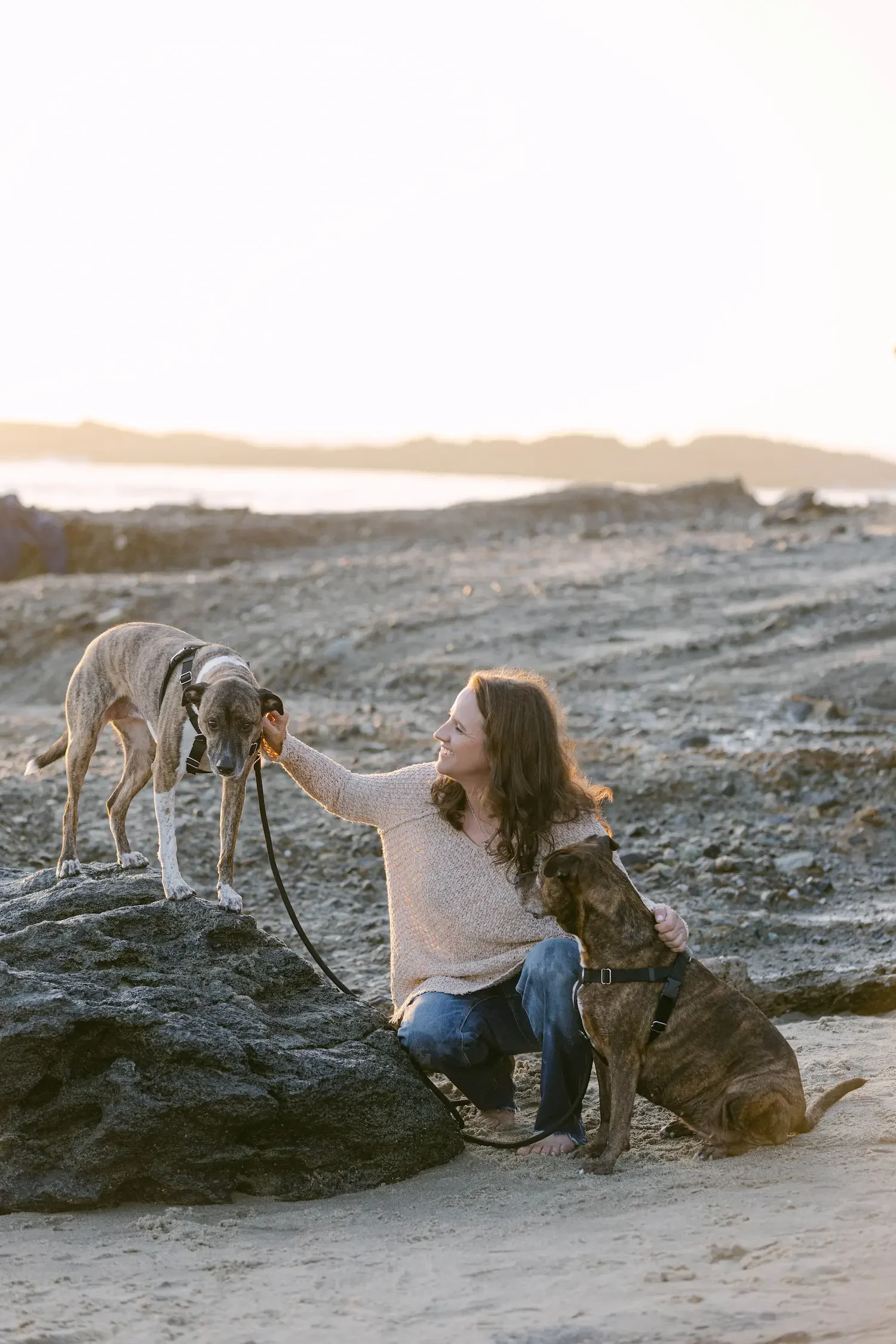 A woman with two dogs on a beach at sunset. One dog is standing on a rock, and the woman is petting it, while the other dog is sitting on the sand.