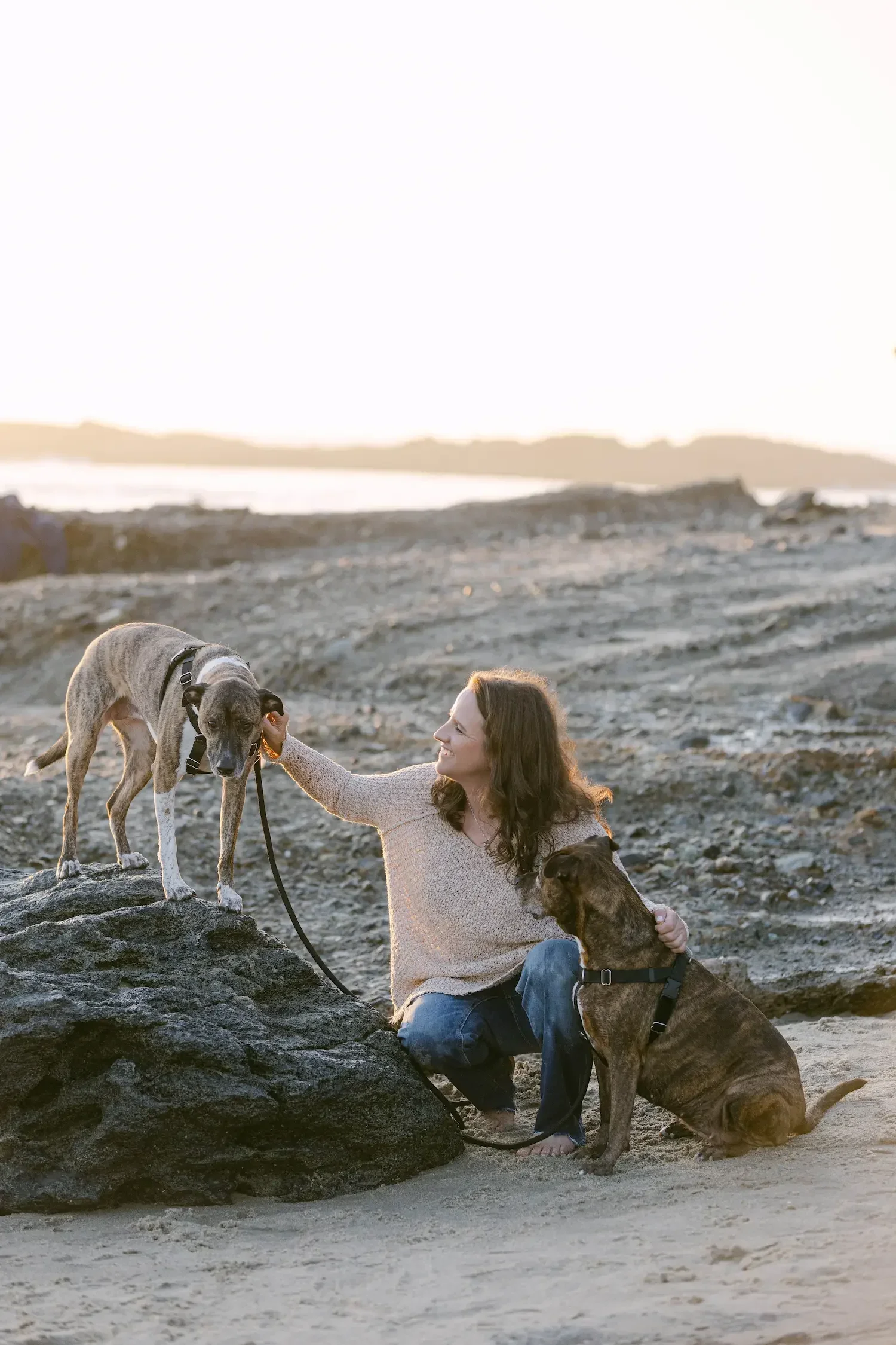 A woman playing with three dogs on a rocky beach at sunset.