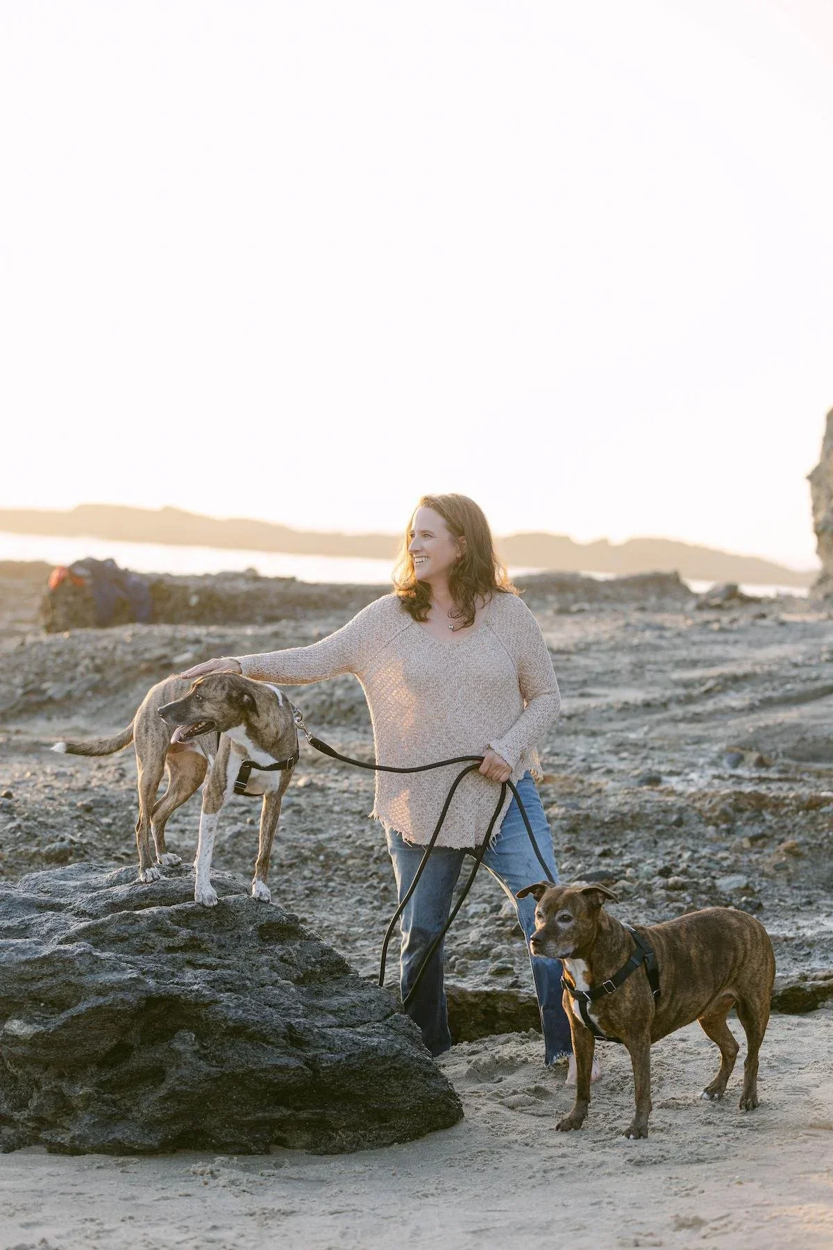 An addiction specialist smiling and playing with two dogs on a rocky beach during sunset.