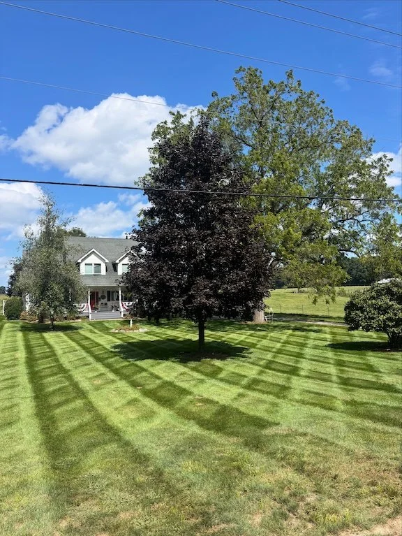 A large front yard with neatly mowed grass showing striped patterns, a tall dark-leaved tree in the center, other trees and a house with a porch in the background under a partly cloudy blue sky.