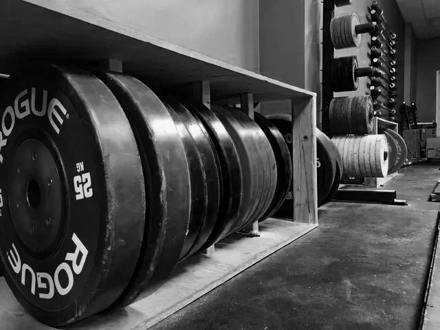 Rouge lifting plates at Brazos Valley Barbell in College Station Texas