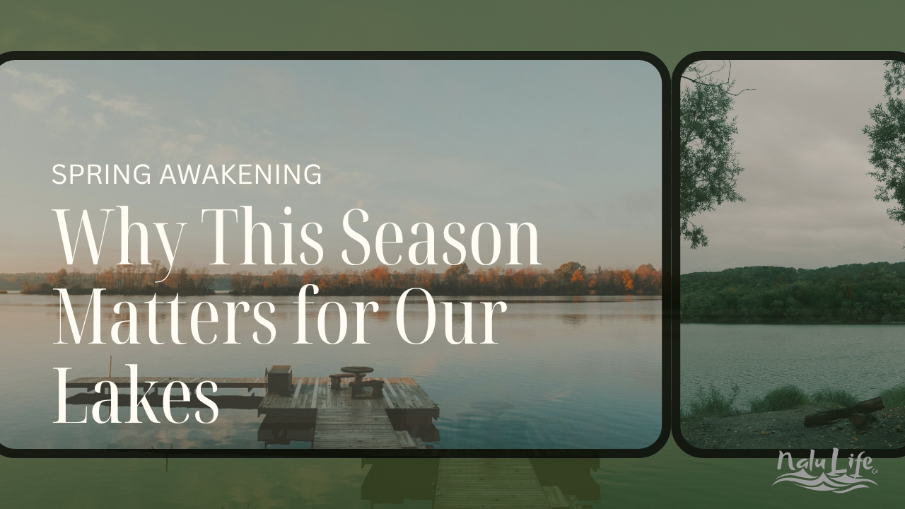 Spring Awakening: Why This Season Matters for Our Lakes 