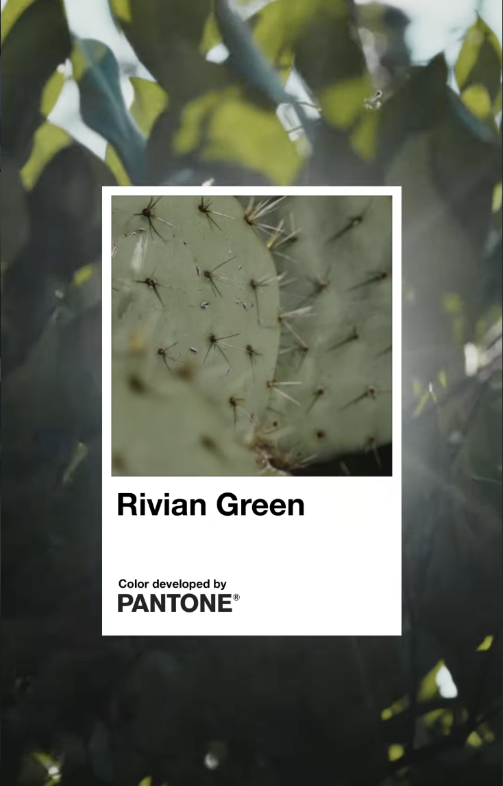 Pantone Color Development