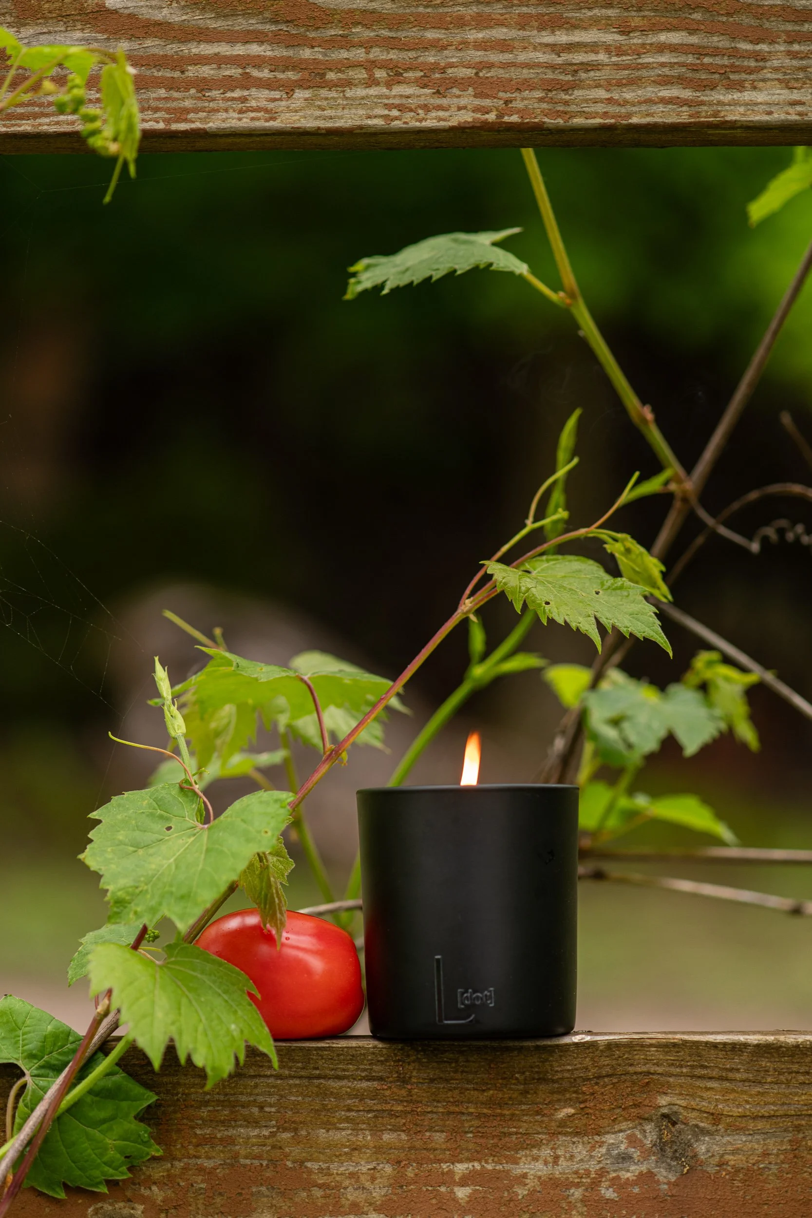 A black indoor scent diffuser with a flame wick, placed on a weathered wooden surface. Green vine leaves and a red apple are nearby, with a blurred green background.
