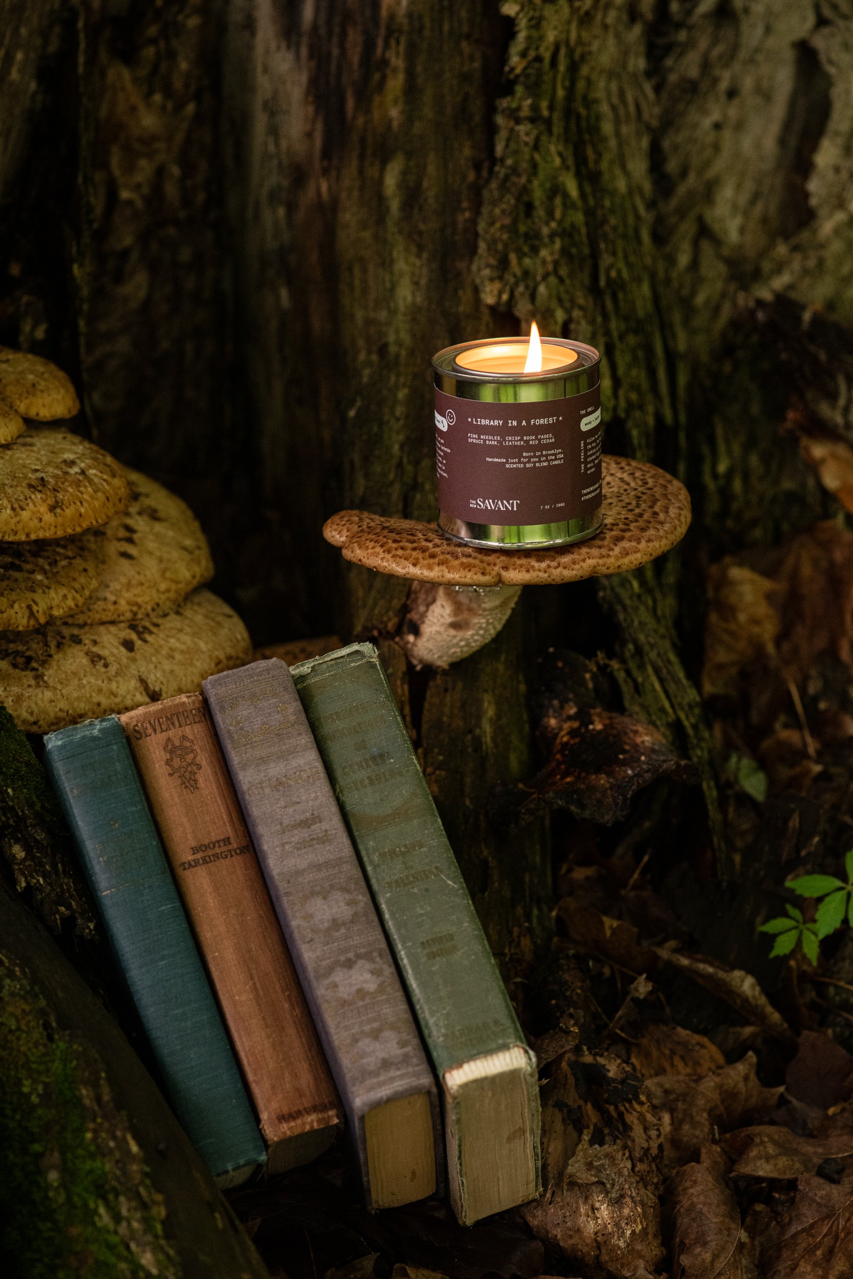 Lit Library in a Forest candle displayed on a mushroom shelf beside vintage books in a wooded setting.