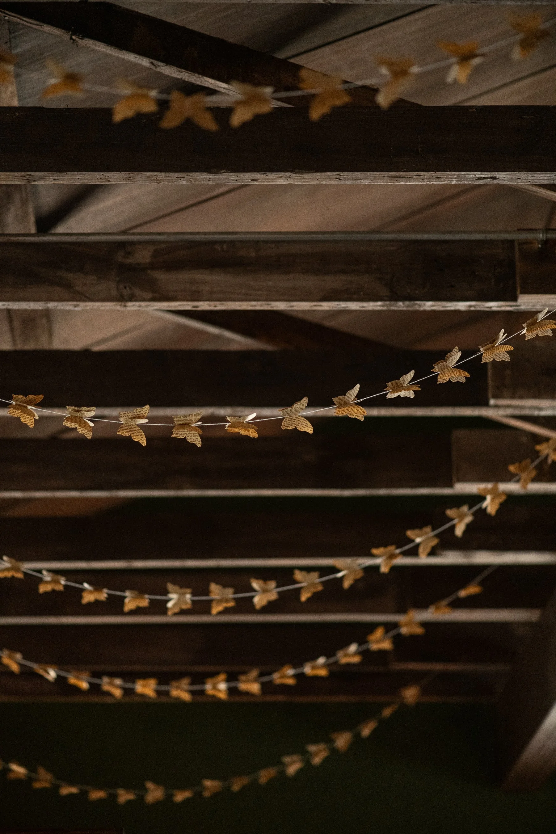 Stringed string lights with decorative leaves hanging underneath a wooden ceiling or structure.