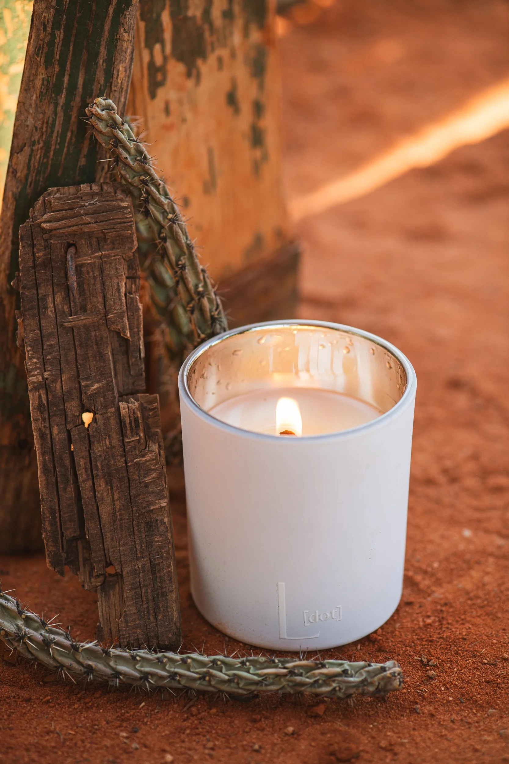 A lit candle in a white holder on reddish earth, a cactus and weathered wooden planks, with blurred warm-toned background.