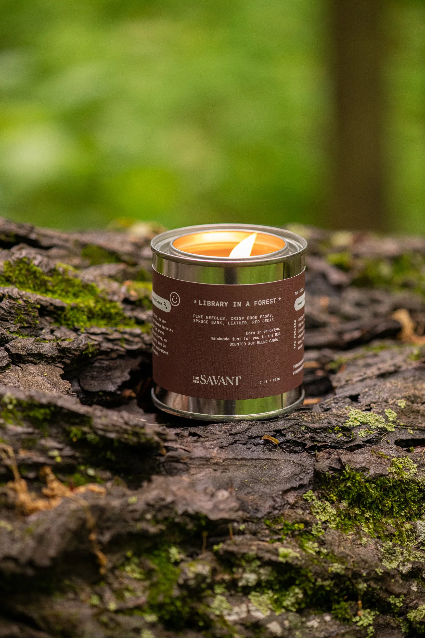 Library in a Forest candle photographed on weathered tree bark with a soft green forest background.