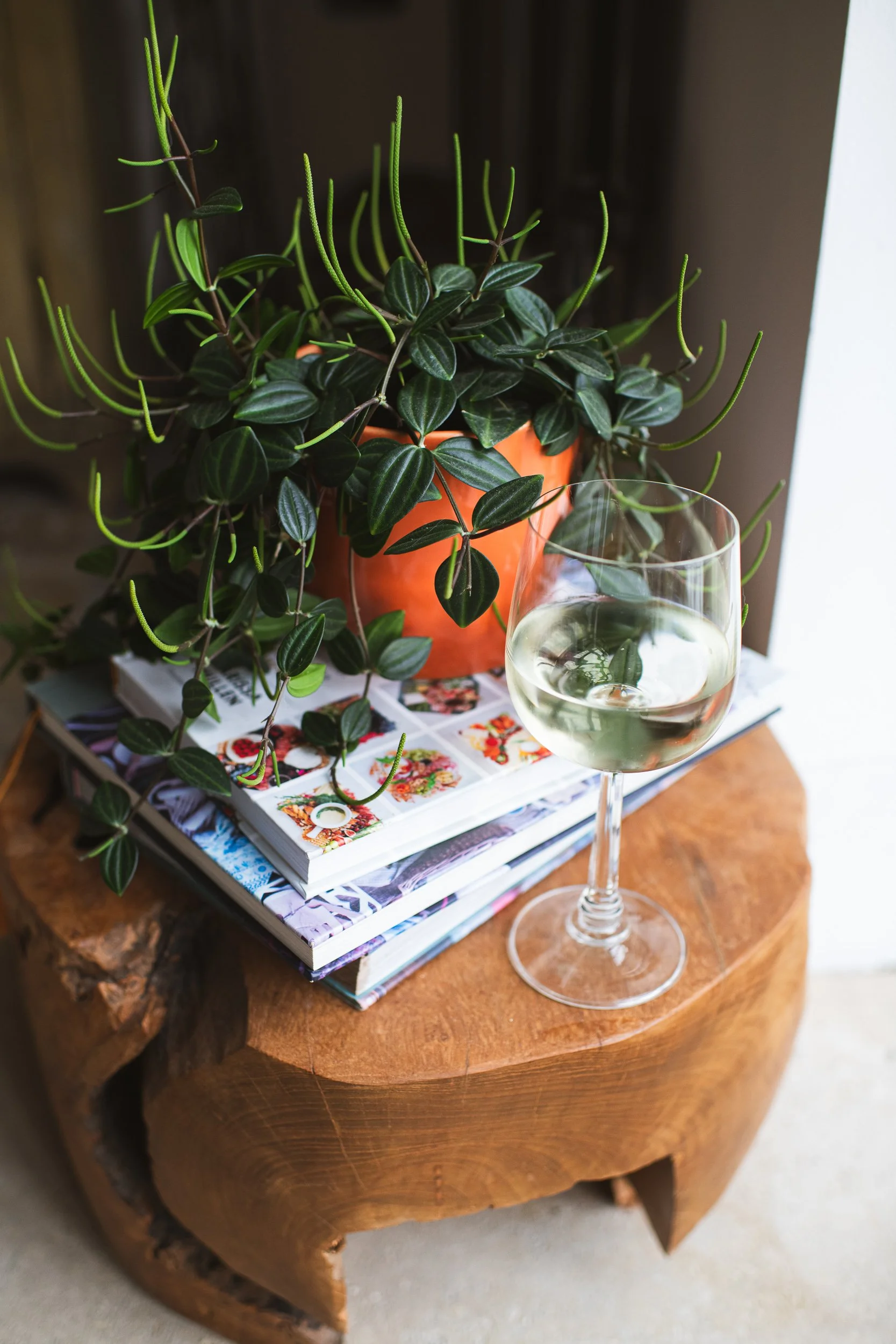 A potted plant with dark green leaves and long, thin, curved green stems, sitting on top of a stack of magazines on a wooden table, with a glass of white wine nearby.
