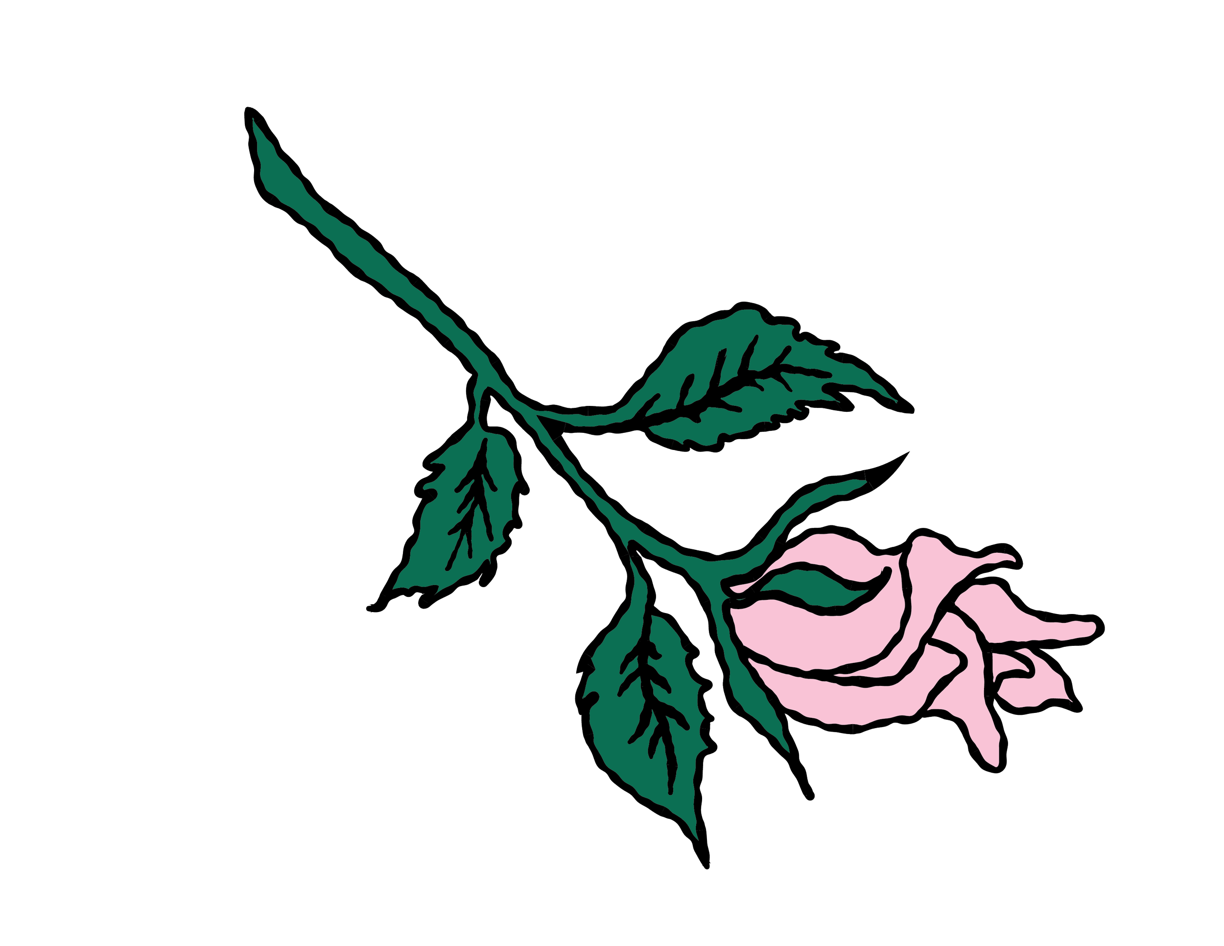 A line drawing of a pink rose with green leaves and black outlines on a black background.