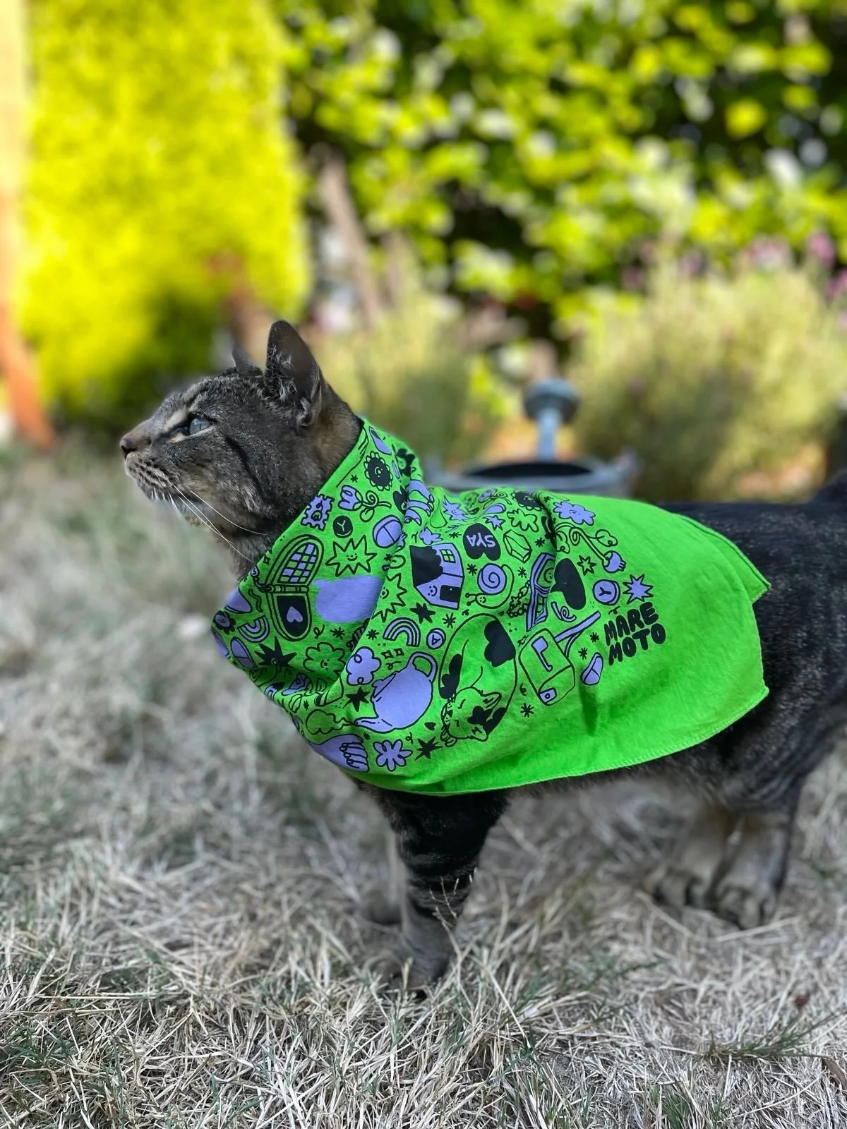 A gray tabby cat wearing a bright green bandana with various cartoon-style illustrations in black, purple, and white, outdoors with green trees in the background.