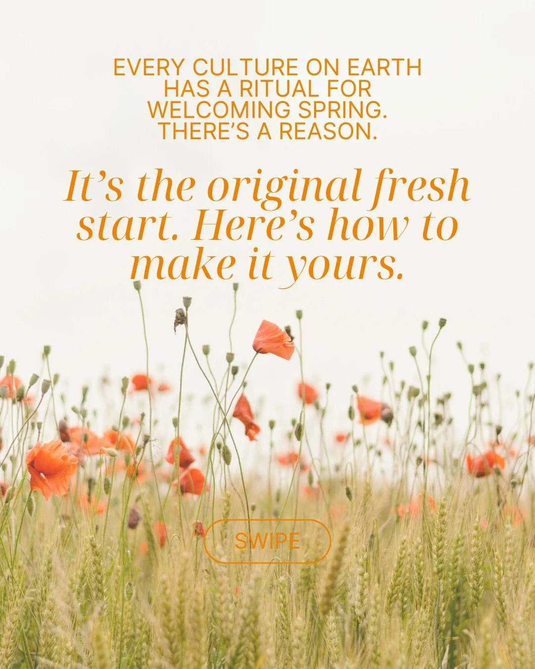 These warm days have me thinking about how humans across cultures have been welcoming spring for thousands of years. The desire to clear out, start fresh, and let in something new is instinctive and in all of us.

How do you welcome spring? A ritual,