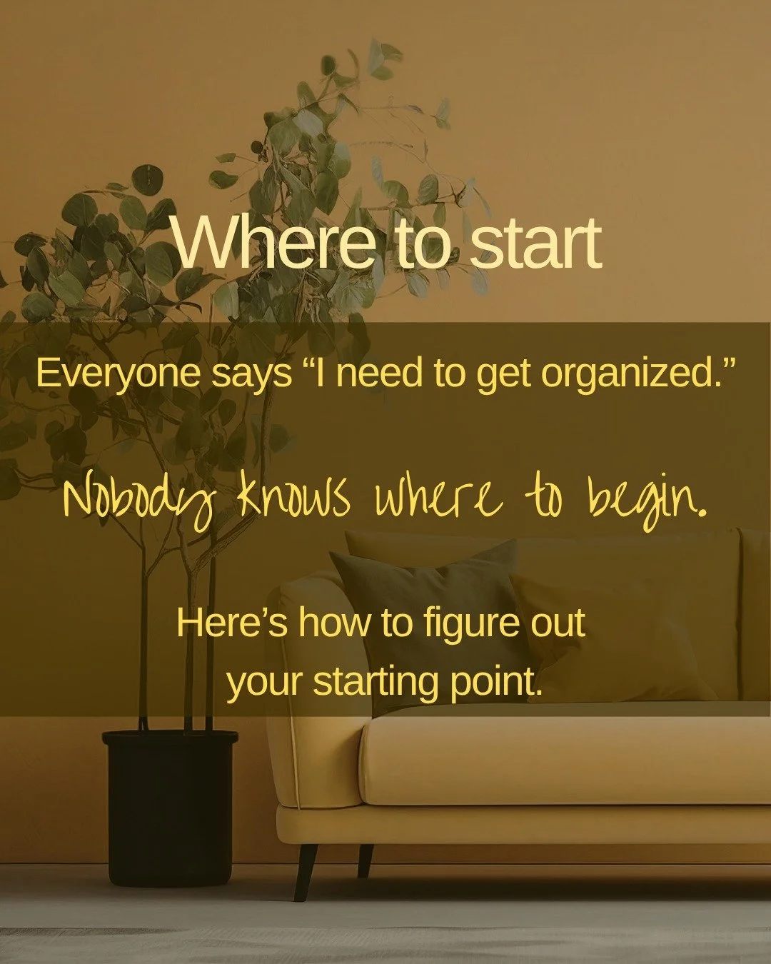 "It's overwhelming and not what I want to do with my free time." I get it. It can be hard to know where and how to begin.

That's what I'm here for: To take away the overwhelm so you can focus on the things you enjoy.

Swipe for the most co