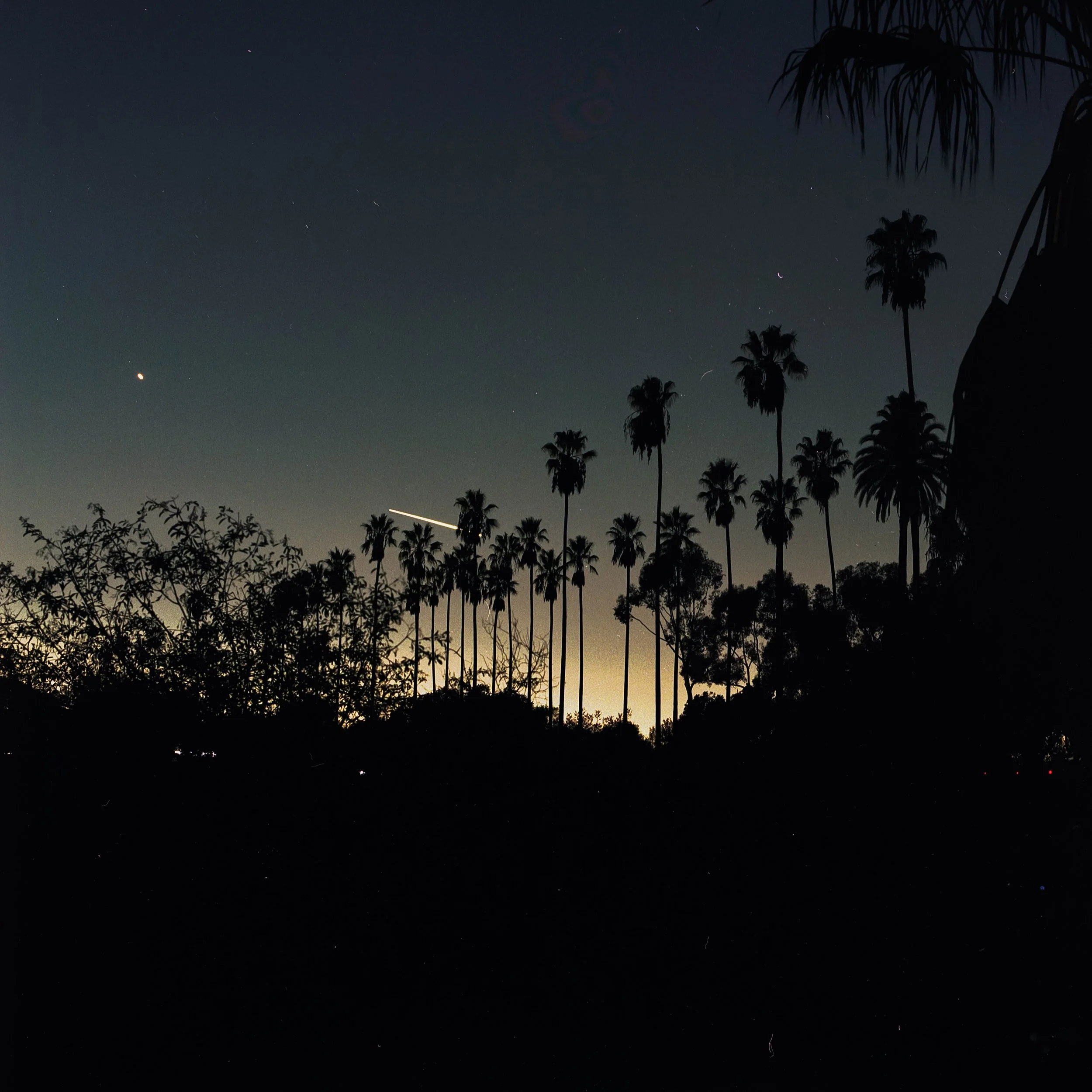 20241213 Griffith Observatory and Elysian Park_12.jpg