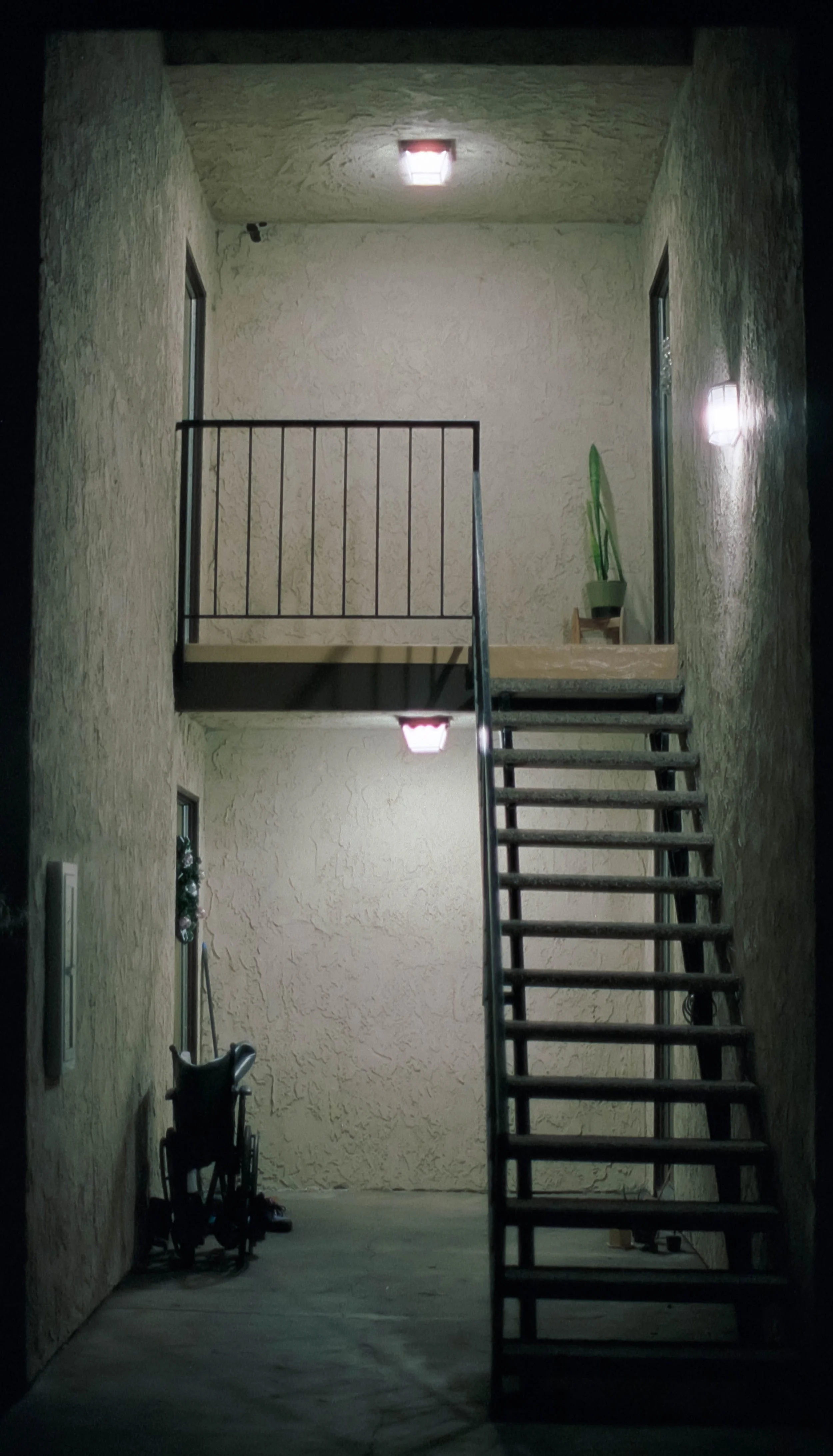 20241214 Huntington With Jacob Aurora 800 Nikon F2_29.jpg