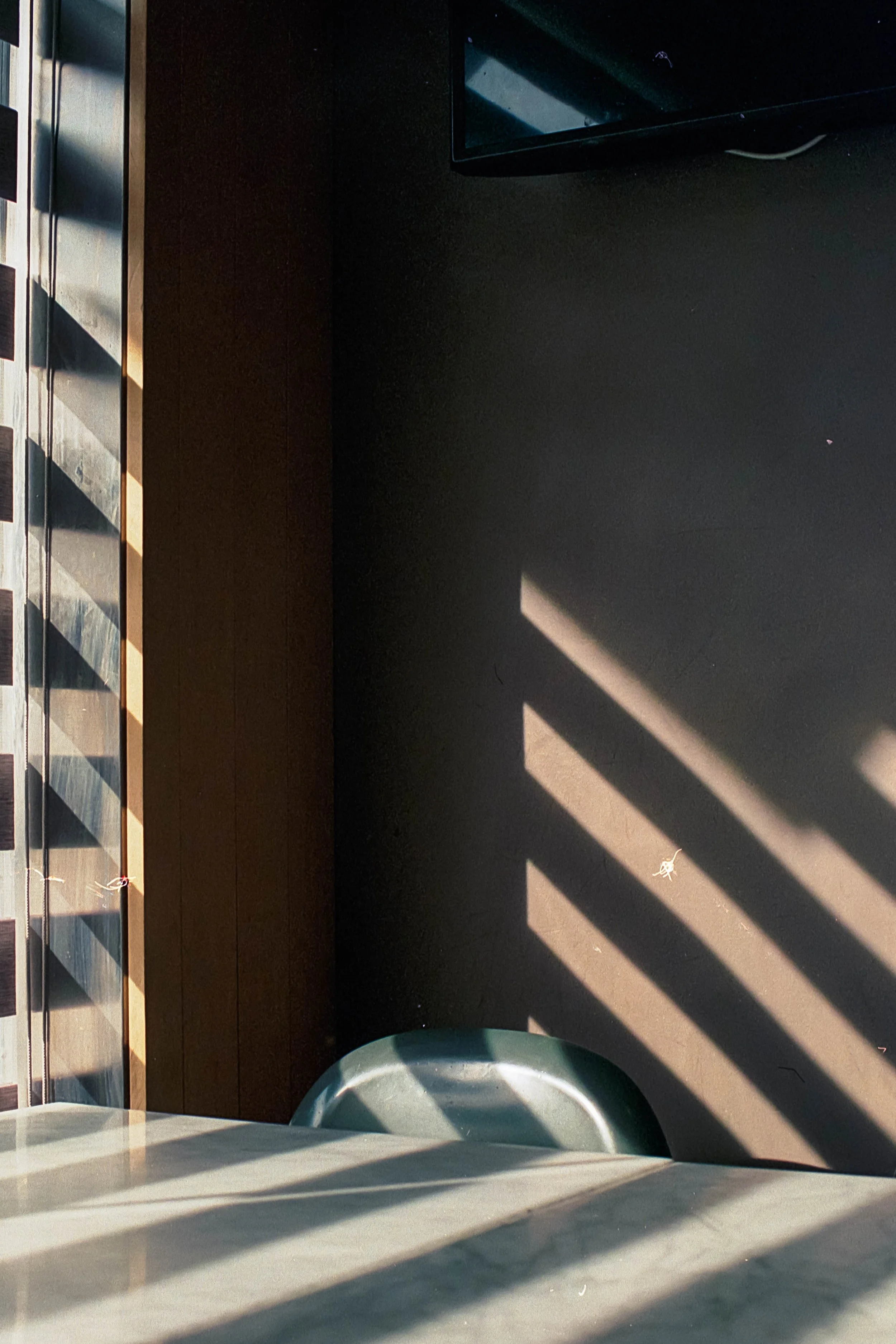 20241214 Huntington With Jacob Aurora 800 Nikon F2_34.jpg