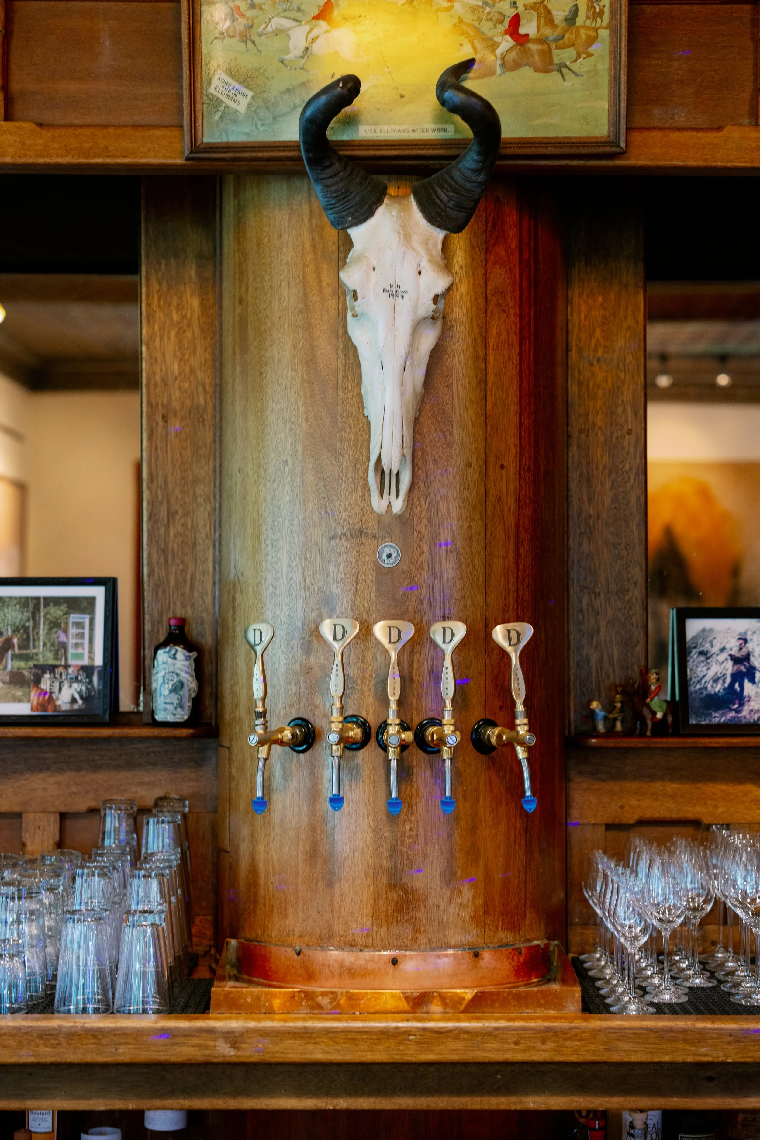 A wooden bar with a cow skull mounted on the wall above five beer taps labeled 'D'. Glasses are arranged on the counter below, with wine glasses on the right and drinking glasses on the left.