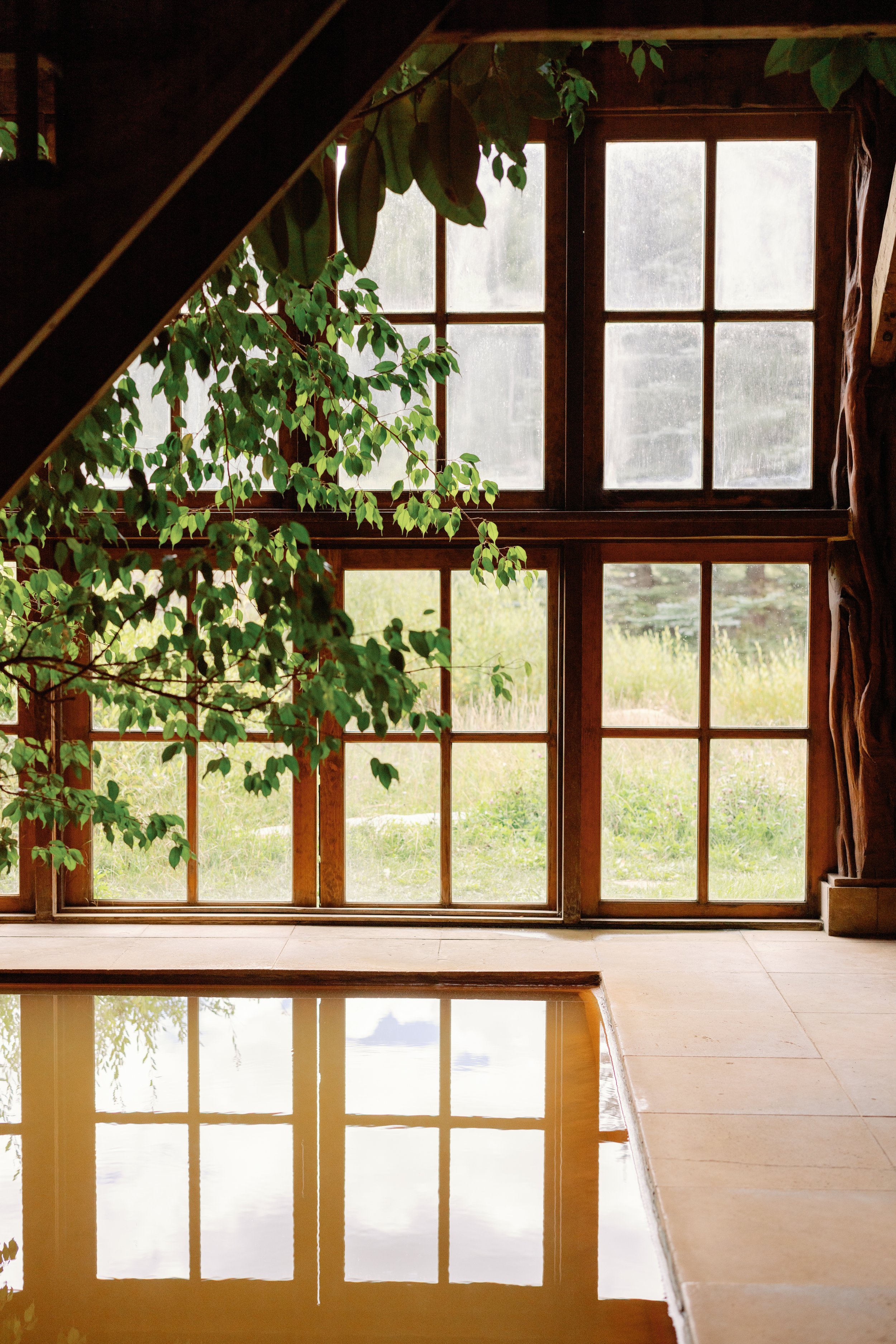 Indoor scene with large window panes and a reflection of the window on a water surface, greenery outside, and a leafy plant inside.