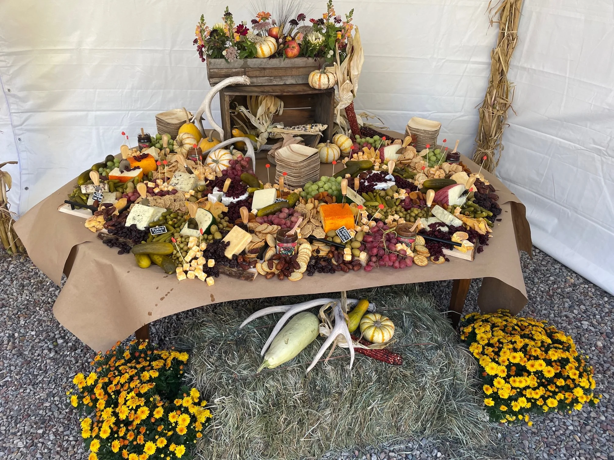 A rustic cheese and fruit display with assorted cheeses, grapes, pickles, crackers, and spreads, set on a table covered with brown paper, surrounded by hay bales and mums, with a white tent background.