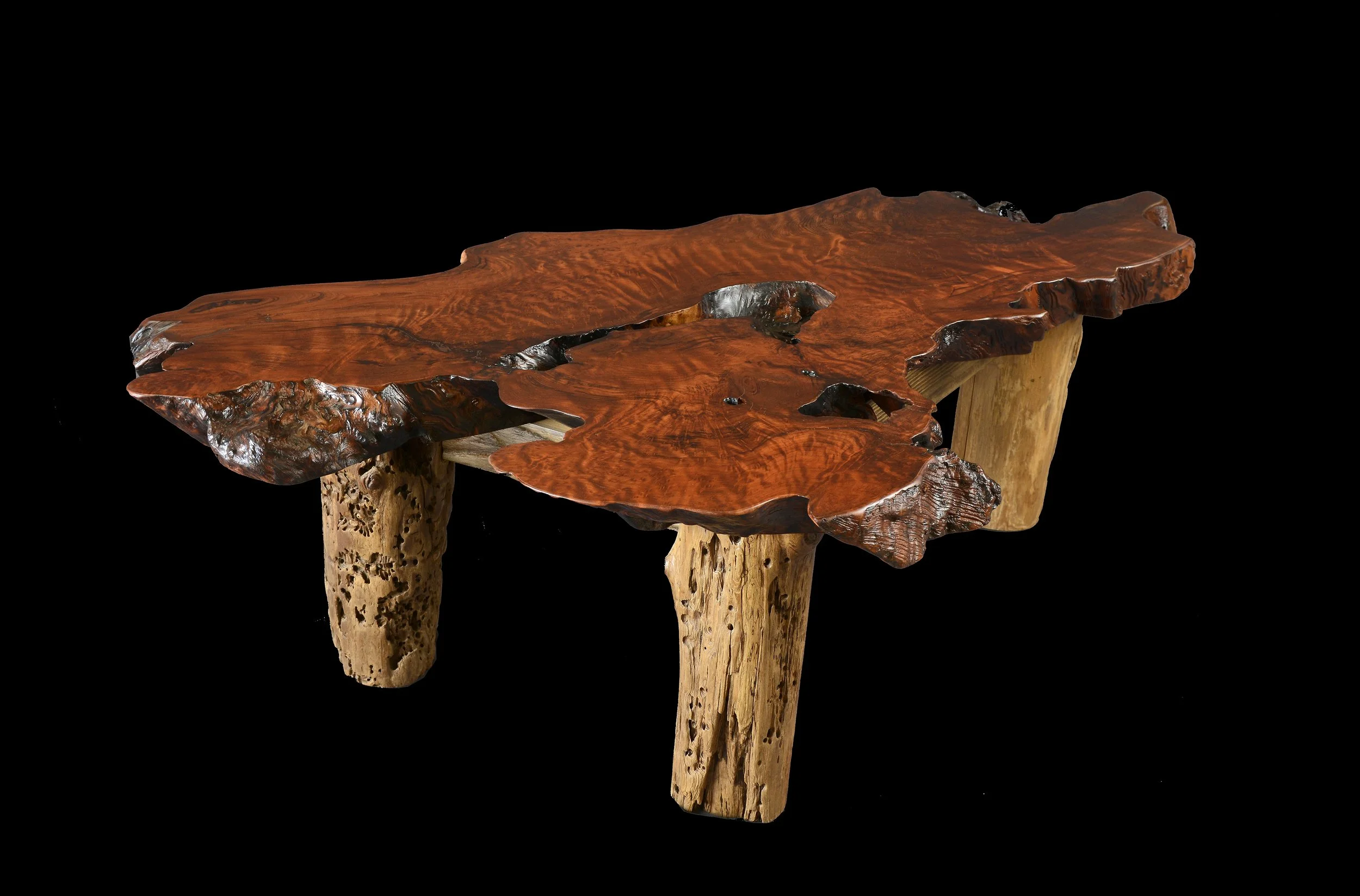 Redwood Burl and Driftwood