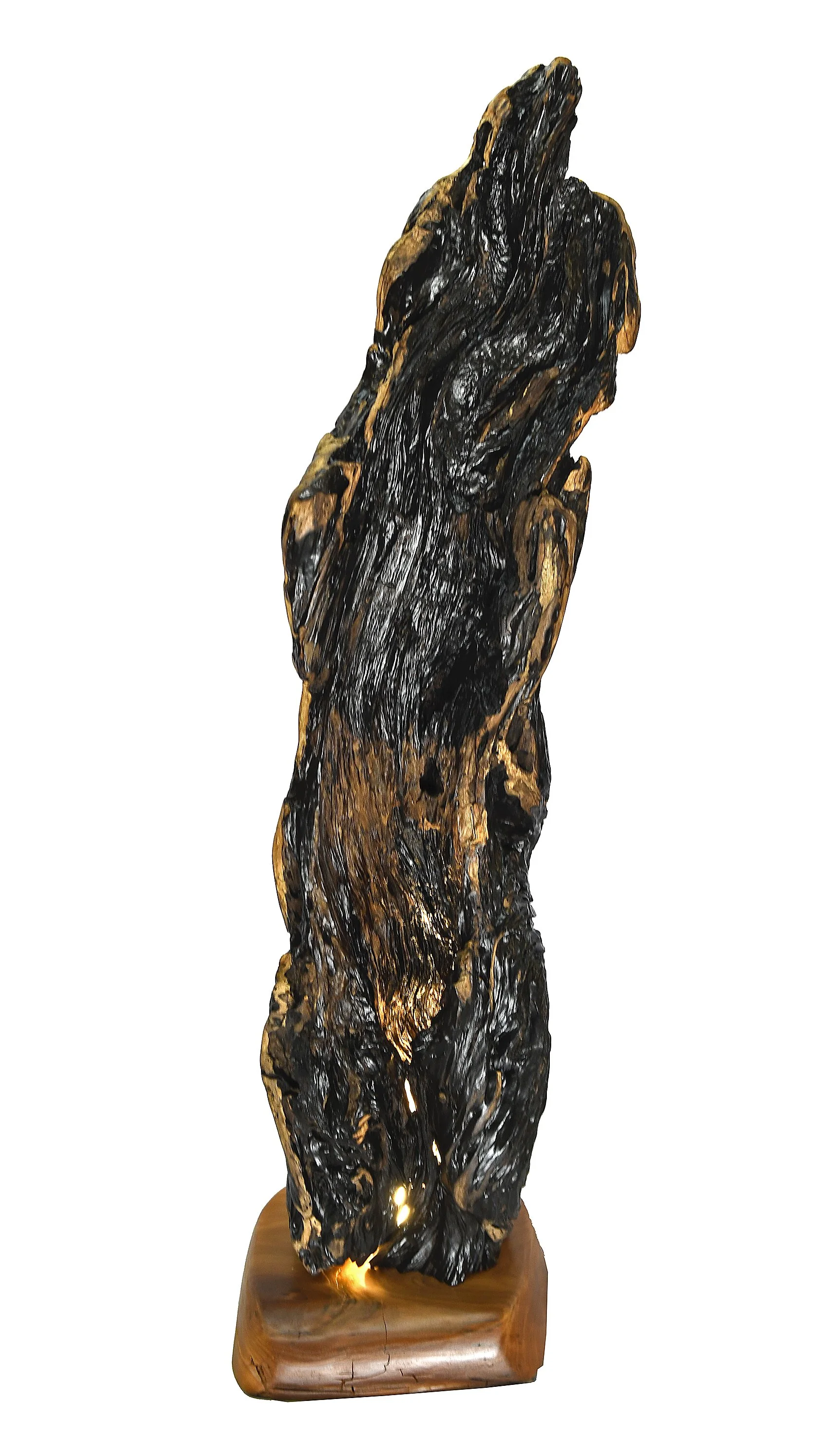 Driftwood and Cypress Lamp