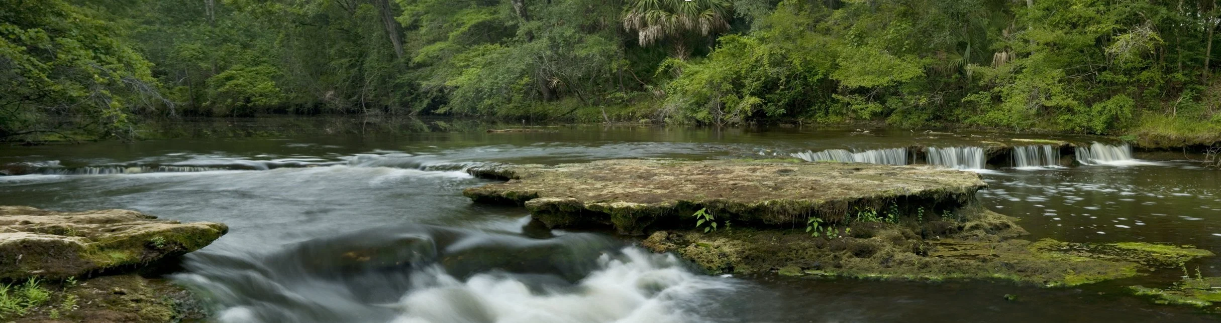 A peaceful river flowing over rocks and small waterfalls, surrounded by lush green trees in a forest.