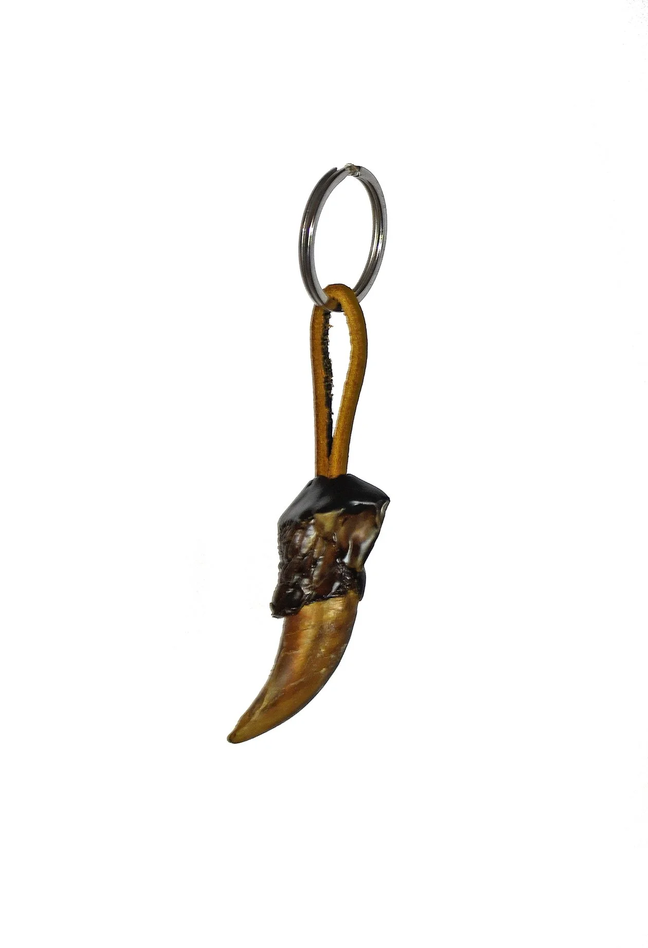 Real Alligator Claw Keychain