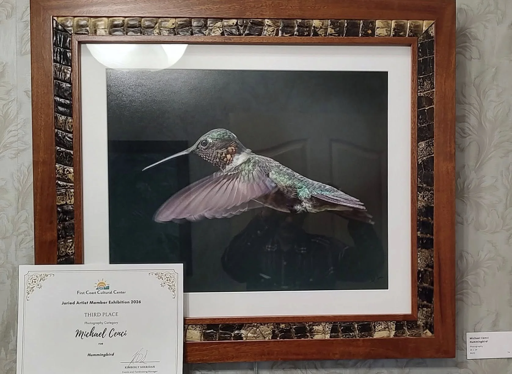 A framed photograph of a hummingbird with its wings spread, hanging on a wall in a custom Michael Cenci gator-skin frame. An award certificate is partially visible in front of the frame.