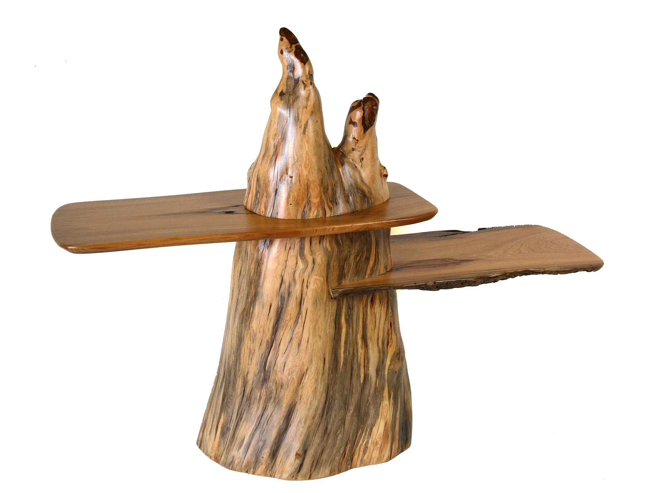 Cypress Knee with Cypress Shelves