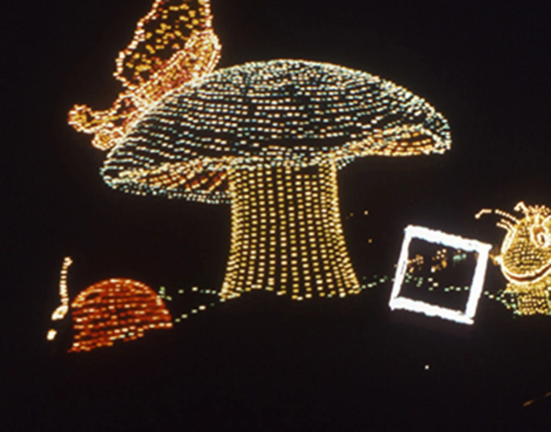 Pumpkin Coach &amp; Mushroom with Butterfly