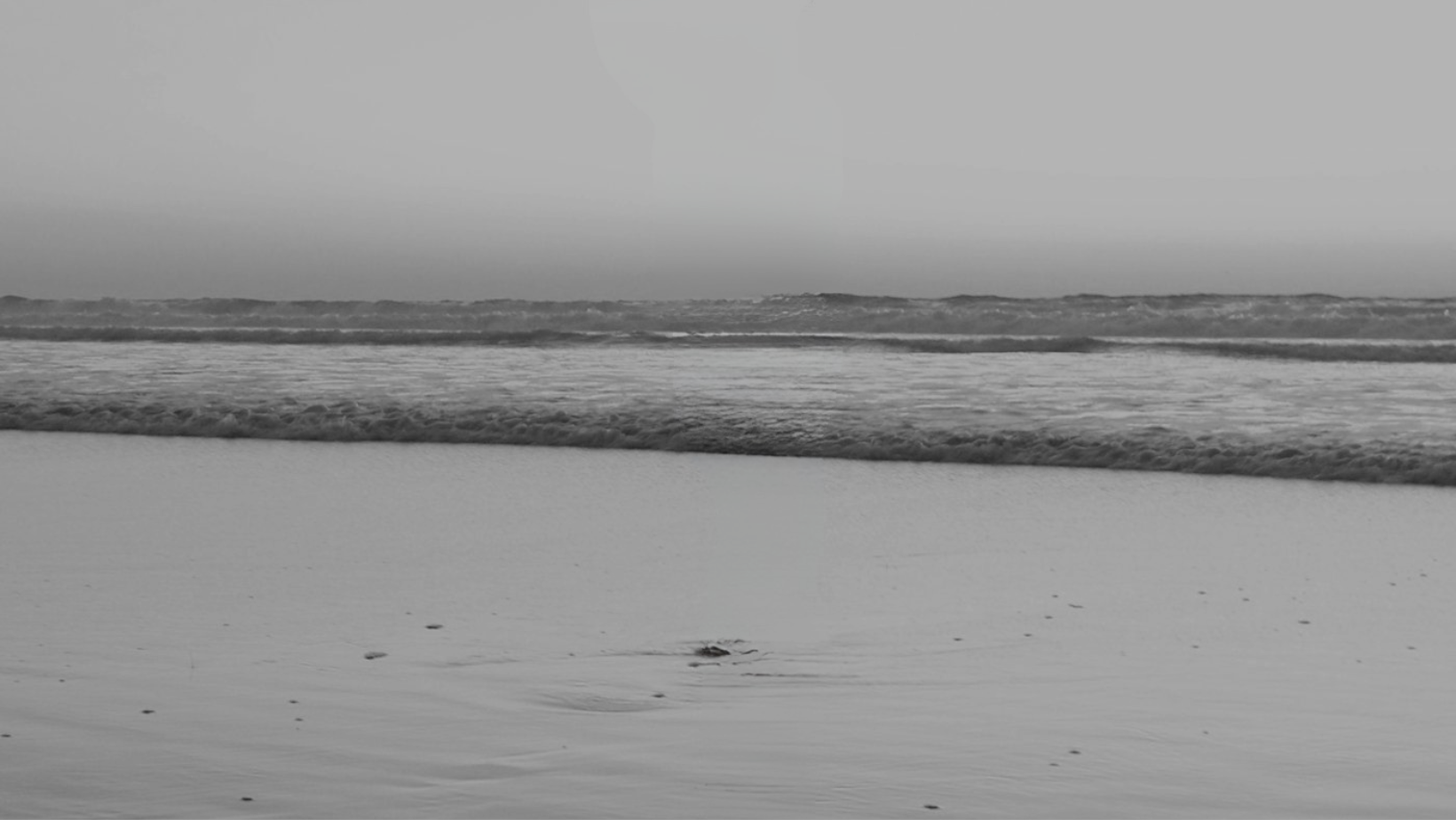 Black and white photo of a calm beach with gentle waves hitting the shoreline and a clear sky above.