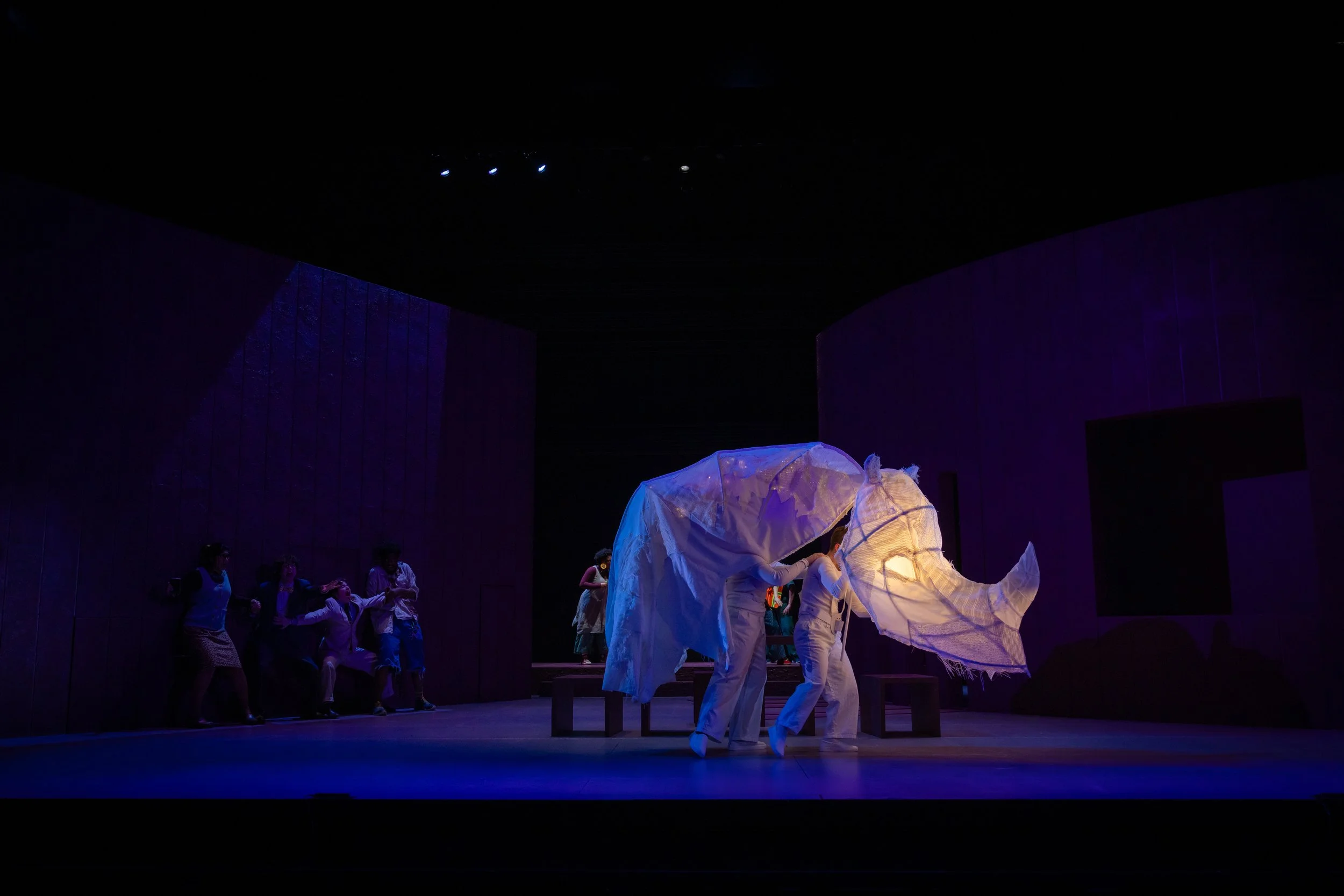 Rhinoceros