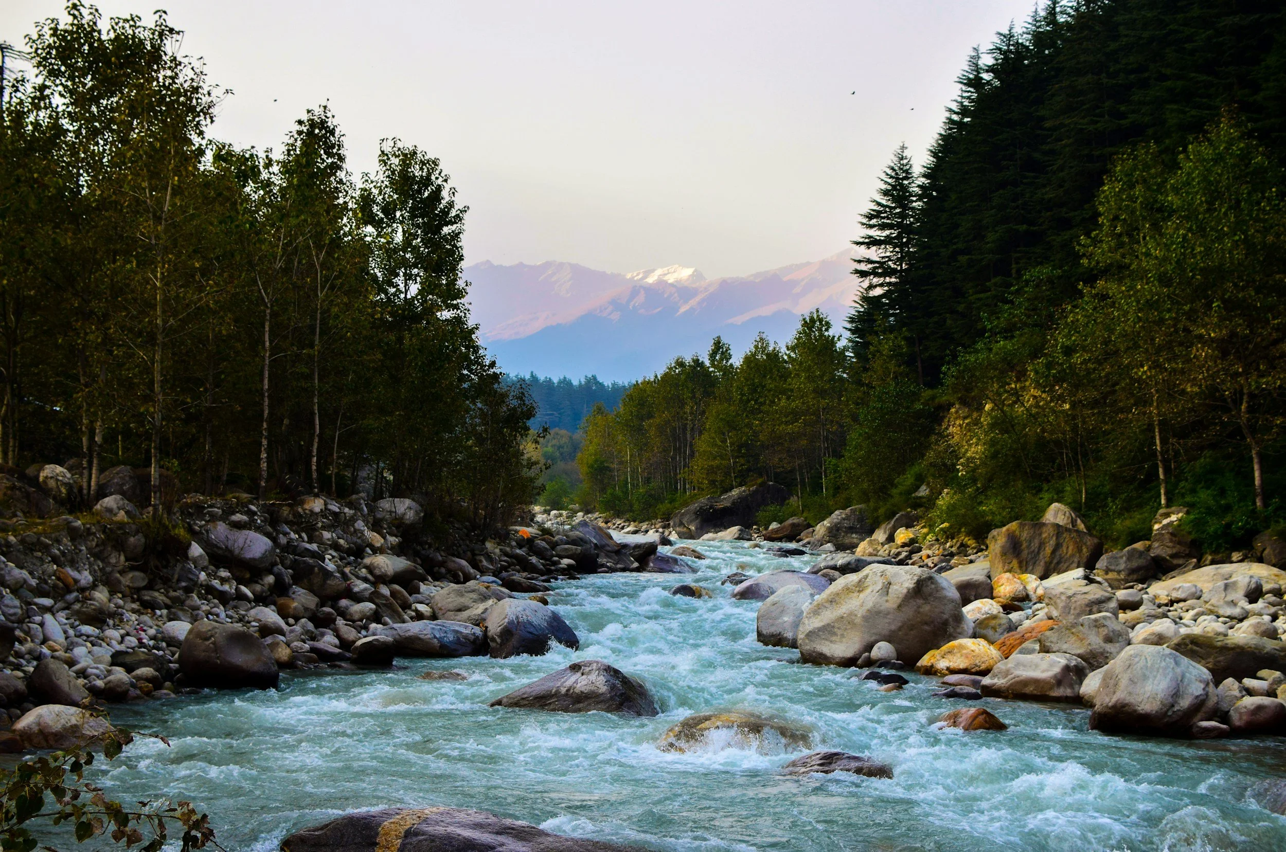 A flowing river with rocks in the foreground, surrounded by green trees and mountain range in the background, under a cloudy sky.