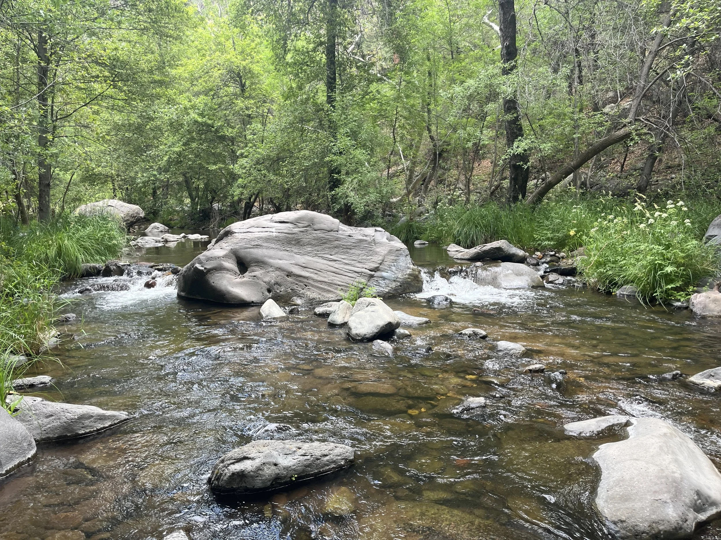 Sedona Oak Creek boulder.jpeg