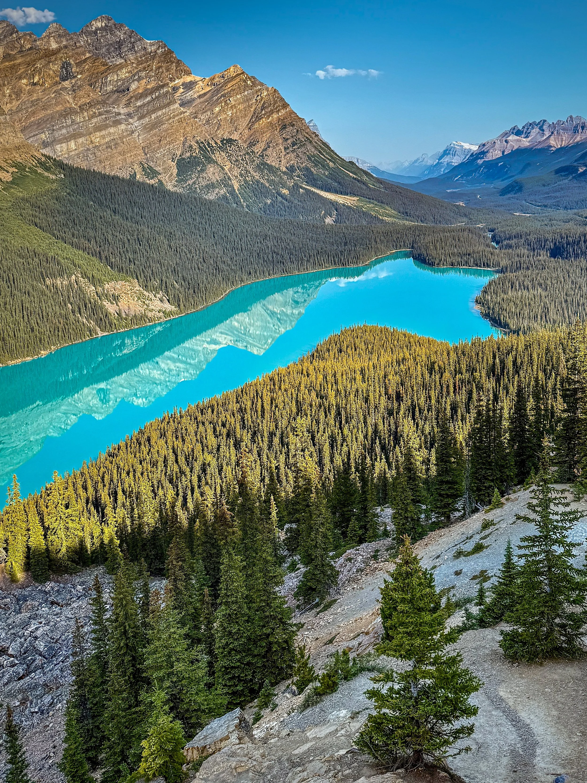 Panoramic view of Peyto Lake in the summer, with mountain reflection. Located in Banff National Park in the Canadian Rockies