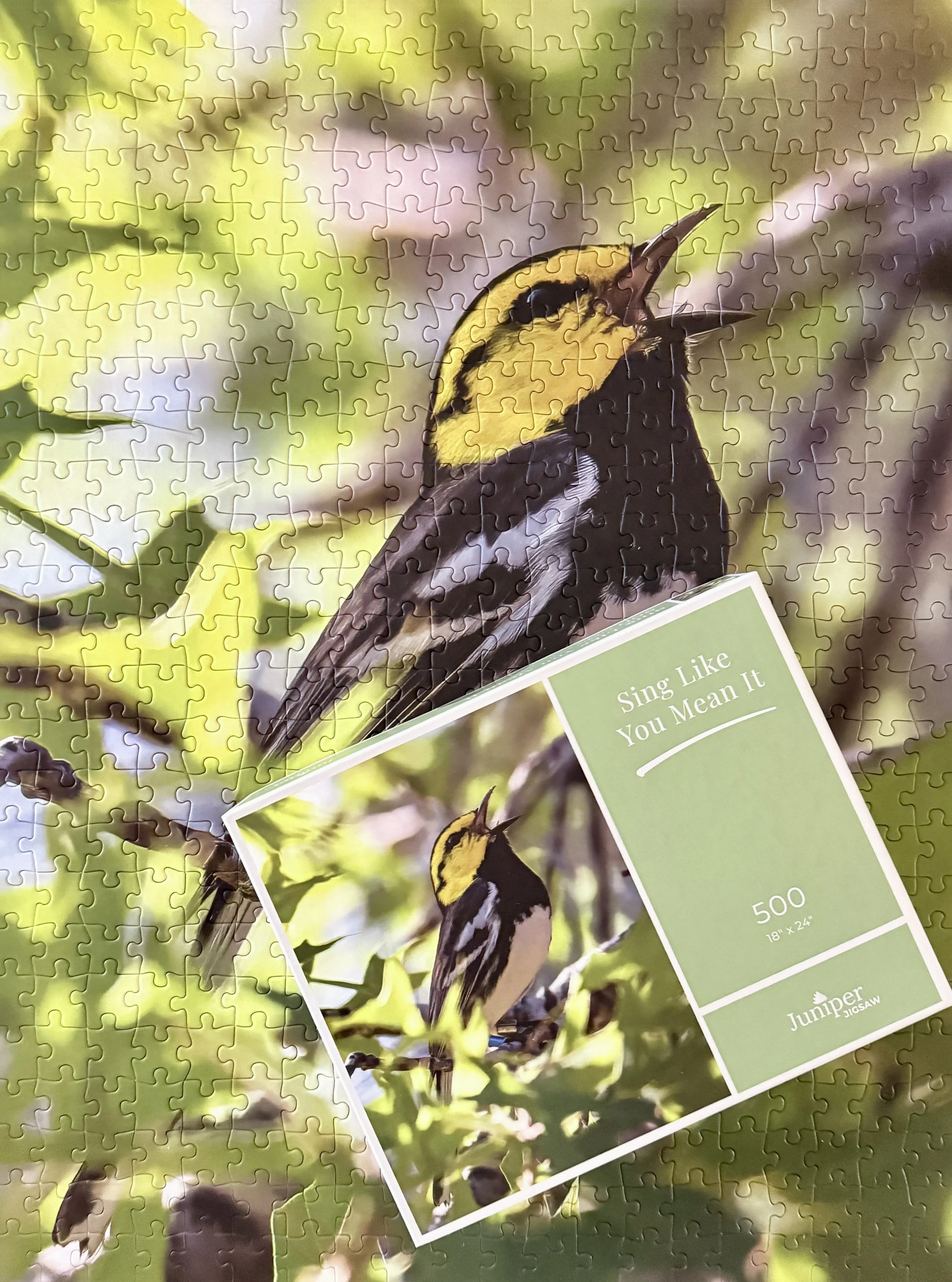 sing with box crop.jpg