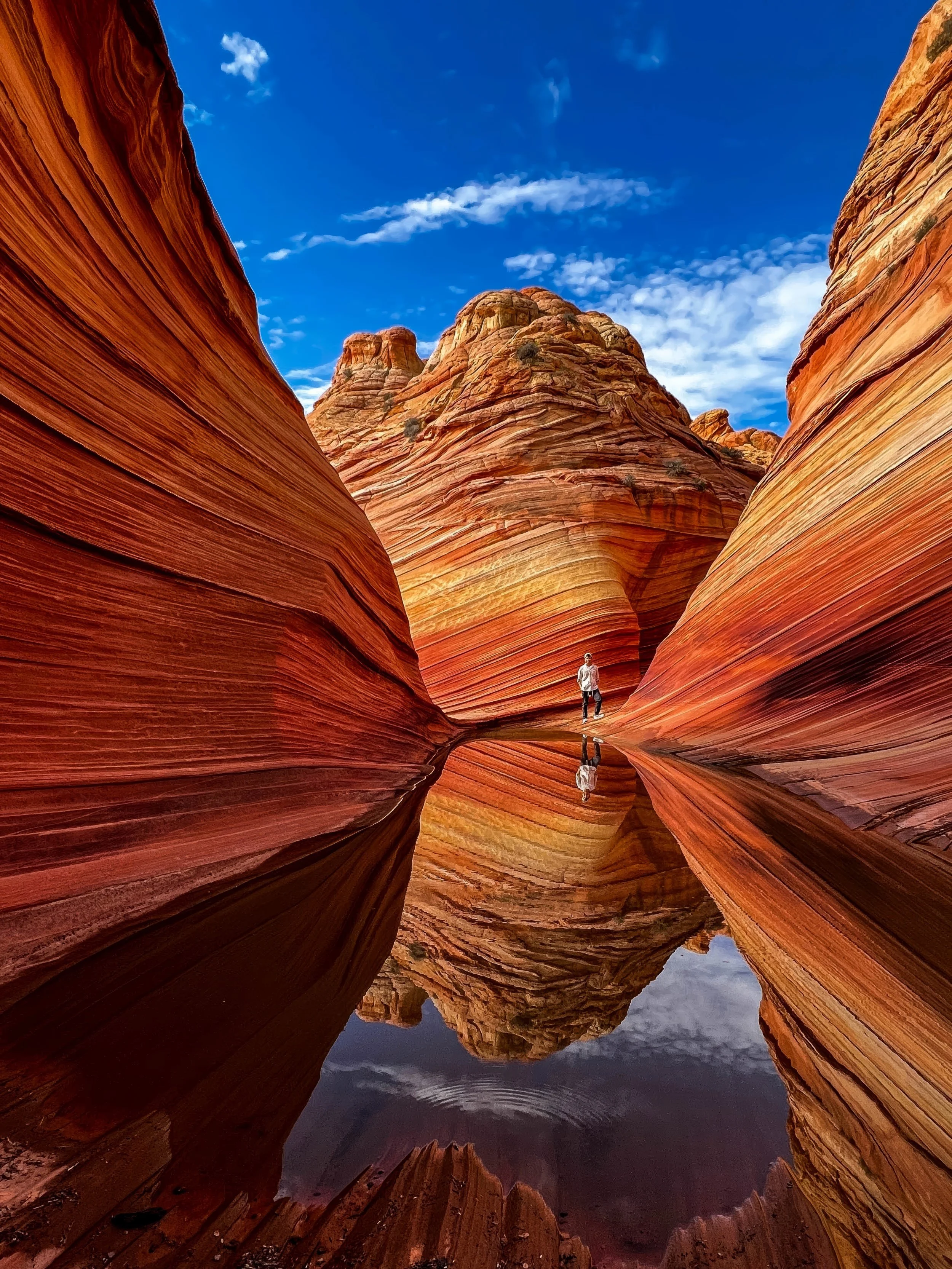 The grandeur of The Wave reflected in a pool of water after an Arizona rainstorm, highlights the rhythmic lines and sweeping curves of sandstone in hues of deep reds, oranges, and yellows, with accents of pastel pinks, golds, and light browns