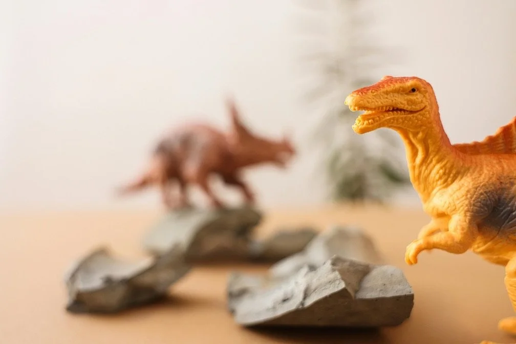 Close-up of a toy T-Rex dinosaur in the foreground, with a blurred toy Triceratops dinosaur in the background on rocky terrain.