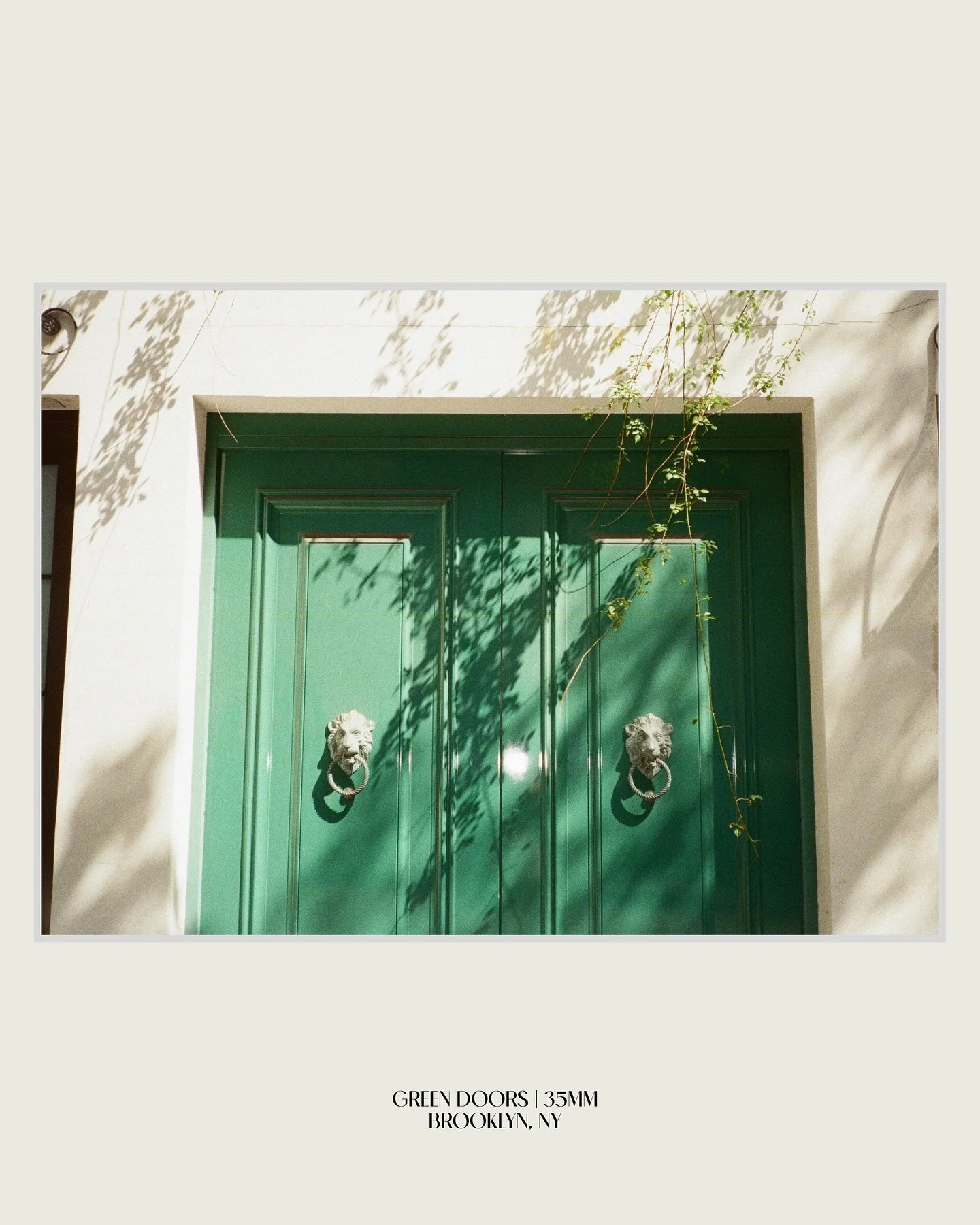 found a cool door. mentally moved in.