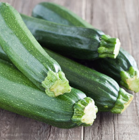 Summer Squash Fordhook Zucchini 001.png