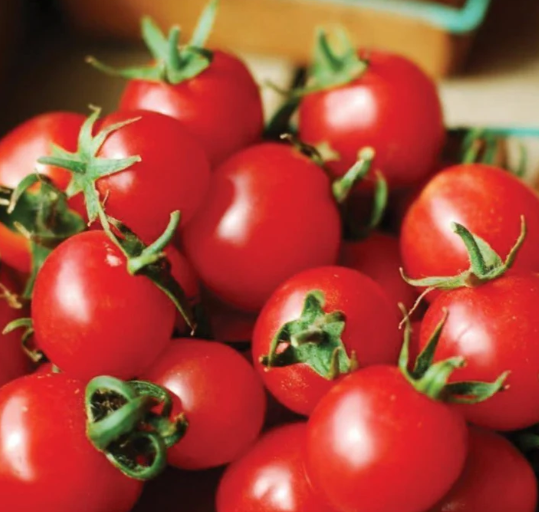 Tomato Large Red Cherry 003.png