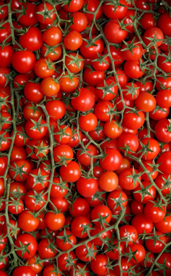 Tomato Sweet Million 001.png