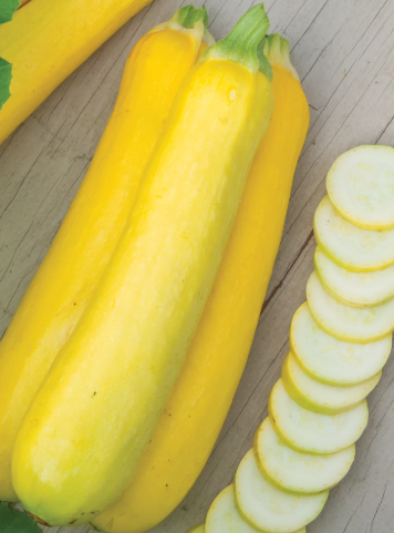 Summer Squash Butterstick 002.png