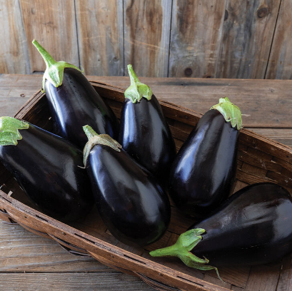 Eggplant Black Beauty 001.png