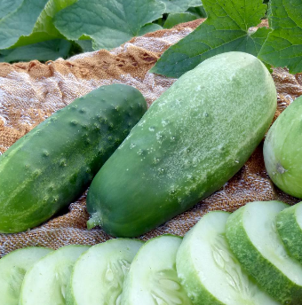 Cucumber Homemade Pickles 002.png
