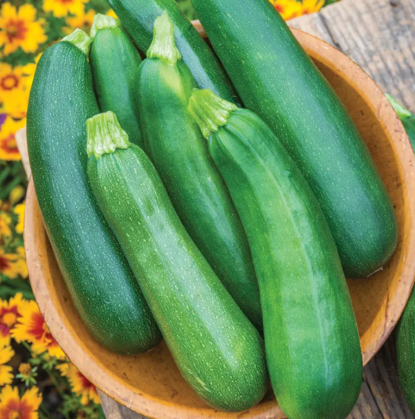 Summer Squash Sure Thing 001.png