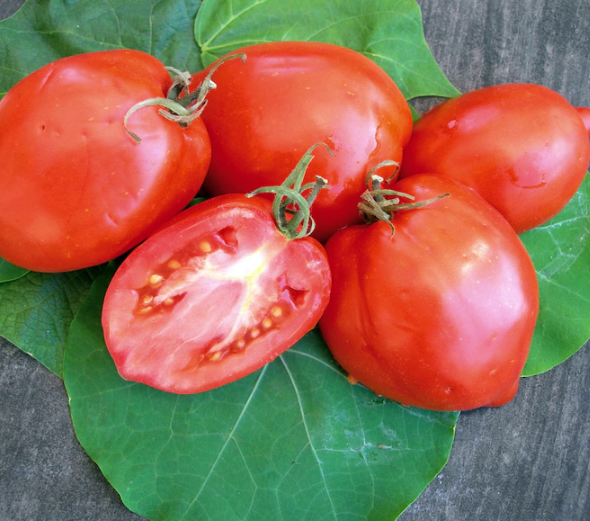 Tomato Amish Paste 003.png