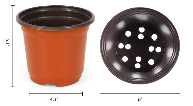 6 Inch Pot.png