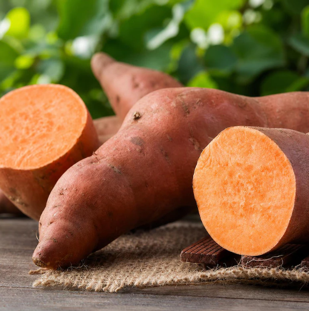Sweet Potato Georgia Jets 002.png